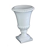 彩か SAIKA  White Container アーン S CPG-05