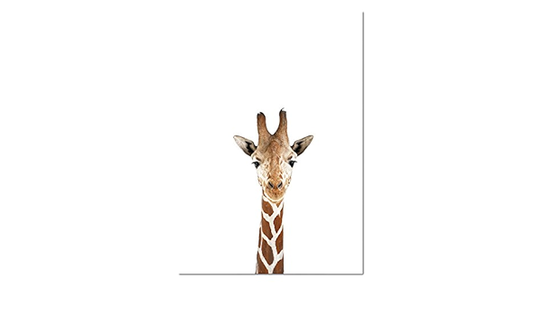 Amazon Co Jp 森林動物の赤ちゃんアートキャンバスポスター鹿コアラの保育園プリント子供の部屋デコ30ｘ40ｃｍ 並行輸入品 ホーム キッチン