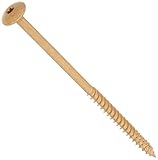 The Hillman Group 47879 5/16-Inch x 6 Star Drive Construction Lag Screw with Truss Head 1000 Hour Br