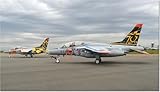 プラッツ 1/100 航空自衛隊 T-4 エアフェスタ浜松 空自70周年記念塗装機 2機セット プラモデル BLU-9 (飛行機)