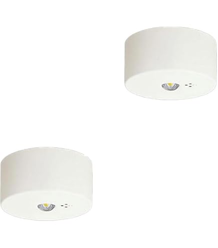 Amazon | 三菱電機 LED非常用照明器具 電池内蔵形 30分間定格形 直付形
