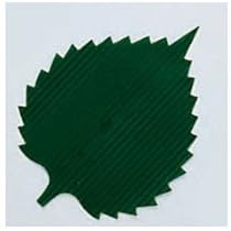 31yu4JZ6OhL._AC_UL210_SR210,