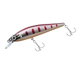 ダイワ(DAIWA) トラウト Dr.ミノー2 チェリーヤマメ 42F ルアー