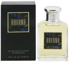 全てのアイテム アラミス訳有りアラミスハバナプールエルedpsp100ml香水フレグランス 単品香水 全てのアイテム アラミス訳有りアラミスハバナプールエルedpsp100ml香水フレグランス 単品香水