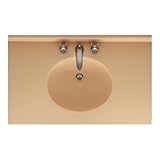 Swanstone vt1b2237楕円One Piece化粧台上部とシンク22 " D x 37 " W、 22" ホワイト VT02237.018 1