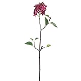 ライラック FXFF0009A/B