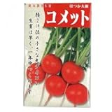 大根 種 コメット 1L