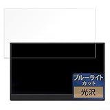 FILMEXT フィルム Verbatim PM-14 用 保護フィルム ブルーライトカット フィルム 超透明