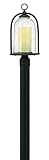 Hinkley 2611OZ Outdoor Quincy Light [並行輸入品]