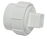 Canplas 193701AS PVC Female Cleanout Adapter with Plug, 1-1/2-Inch, White [並行輸入品]