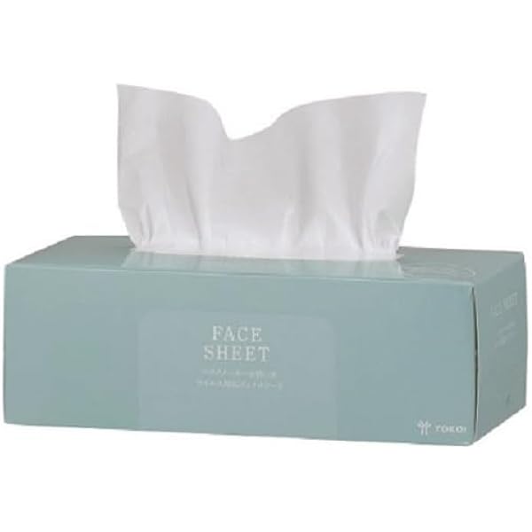 プランエス フェイスシート 10 プランエス フェイスシート 10 プラン