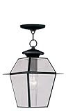 Livex Lighting 2183-04 Westover 1-Light Outdoor Chain Hang, Black [並行輸入品]