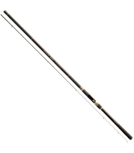 Amazon | 宇崎日新 ロッド イングラムISO IM R2 2.5号 5305 | 宇崎日新 