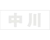 表札用名前シール 角ゴシック体　切文字 ﾊﾟｰﾙｸﾞﾚｰ 天地30ﾐﾘﾀｲﾌﾟ 中川