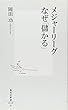 メジャーリーグ なぜ「儲かる」 (集英社新書)