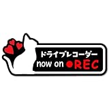 ドラレコ マグネット マグネットステッカー ドラレコステッカー ドライブレコーダー 車 あおり運転防止に 防犯 猫 パンダ おしゃれ かわいい 録画中