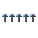 Ruifuチタン合金六角穴M6x12 15 20 25 30 35mm M8x 15 20 25 30 35 40mm自転車オートバイホイールナンバープレート取付ボルト5本セット (M6x12mm, レインボー)