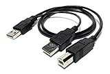 Access USB 2.0 オス → 標準B オス Yケーブル 80cm プリンター&スキャナー&外付けHDDケーブルCC用 USB62