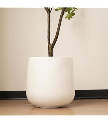 Amazon | 信楽焼 生子輪型 20号 大型植木鉢 | 鉢
