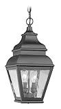 Livex Lighting 2604-04 Exeter 2-Light Outdoor Chain Hang, Black by Livex Lighting