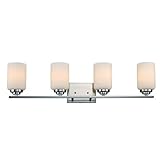 Trans Globe Lighting 70524 BN 4-Light Bath Bar, Brushed Nickel [並行輸入品]