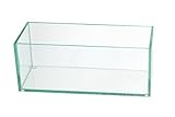 Flower Glass Vase Decorative Centerpiece For Home or Wedding by Royal Imports - Oblong Rectangle Sha