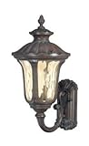 2 Light - Arm Up MidSize Wall Lamp - Amber Water Glass [並行輸入品]