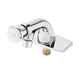 T & S真鍮b-0805-vr-vf05 Metering蛇口シングルTemp、押しボタンキャップ付き、Deckplate and 0.5 GPM non-aeratedスプレー
