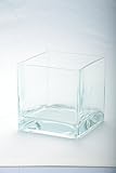 StealStreet SS-Dsg-84818C 6 inch Clear Square Vase [並行輸入品]