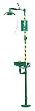Haws 8320CRP Combination Shower and Axion MSR Eye/Face Wash with Green ABS Receptor/Green Corrosion-