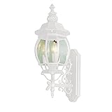 Transglobe Lighting 4051 WH Outdoor Wall Light with Beveled Glass Shades, White Finished [並行輸入品]