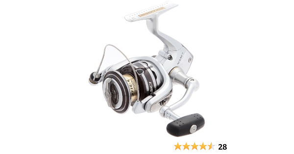 新色追加 1 1 3超pバック祭 5 Off初売りクーポン シマノ リール 13 ナスキー C3000sdh 50 Off
