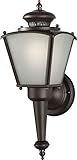 Forte Lighting 10009-01-32 Exterior Wall Light with Frosted Seeded Glass Shades, Antique Bronze [並行輸