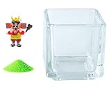 花市場直送便 ミニチュアガラス 武田信玄 & カラーサンド パステルグリーン & 植え込み用グラス ニューブロックS