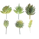 BCP 6 pcs人工キュートグリーン多肉植物多肉植物花Unpotted DIYのマテリアルホーム装飾花arrangement-type 1