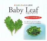 【種子】ベビーリーフ・グリーンマスタード 1dl