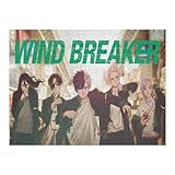 WIND BREAKER ウィンドブレイカー ジグソーパズル 桜遥 蘇枋隼飛 楡井秋彦 杉下京太郎 柘浦大河 桐生三輝 パズルのおもちゃ パズル 娯楽 木製のパズル 部屋の飾り 500ピース アニメ 大人 プレゼン ストレスを軽減する 大人のおもちゃ プレゼント パズル 子供 壁掛け 300/500/1000