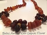 Raw Unpolished 12.5 Inch Baltic Amber Teething Necklace Babies Brown Cognac Carmel Baby, Infant, Tod