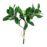 コリノカルプスリーフ(3本) FXFPL0004GR