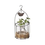 Paseo Wire Cage w/glass DR-11