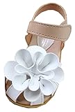 M.Z.L　ベビー おしゃれ 靴　フラワー モチーフ サンダル　夏 赤ちゃん キッズ 履き心地 柔らか マジックテープ ストラップ 滑り止め 付き 可愛い 花 女の子 シューズ (13.5cm, ホワ