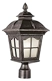 Trans Globe Lighting PL-5422 AR 1-Light Post Lantern, Antique Rust [並行輸入品]