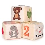 Apple Park(アップルパーク) ソフトブロックセット【TM046】