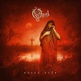 Still Life [12 inch Analog]