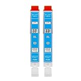 ZAZ BCI-331XLC 2本セット 互換インク BCI-331XL+330XL/6MPのシアン2本 330 331 TS8830 8730 8630 8530 ICチップ付き 残量表示可能 ink-813