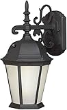 Forte Lighting 17013-01-04 Exterior Wall Light with Frosted Seeded Glass Shades, Black [並行輸入品]