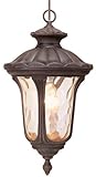 Livex Lighting 7654-58 Oxford 1 Light Imperial Bronze Cast Aluminum Hanging Lantern with Light Amber