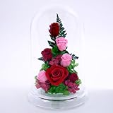 アートフォーシーズン ＰＲ チェリーローズプリザーブドフラワー