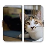 Google Pixel 10ProXL 用 ケース 手帳型 グーグルピクセル 10プロXL スマホケース 猫 ネコ ねこ 三毛猫 みけねこ ハチワレ トラネコ 写真 可愛い カラー02
