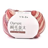 元廣 毛糸 オリンピック 純毛 並太 プリント マルチカラー 6 10玉パック(M)